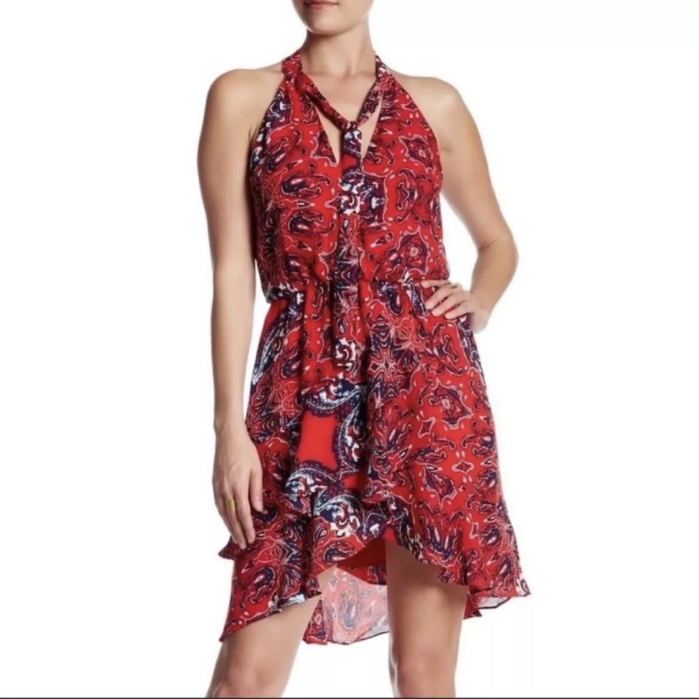 Parker Flare Bandana Paisley Dress